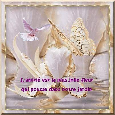 L'amitié...