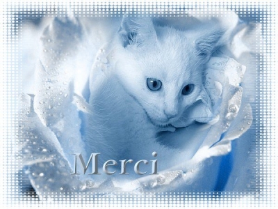 merci
