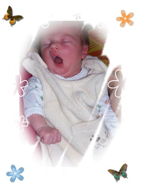 Bébé