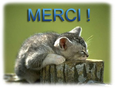C'est trop beau